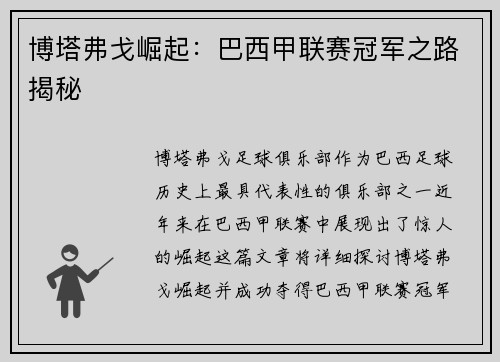 博塔弗戈崛起：巴西甲联赛冠军之路揭秘